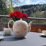 Gaestehaus Hirschstein - Hochwertige In Sehr Ruhiger Lage Direkt Am Fluss Goeltzsch Daire