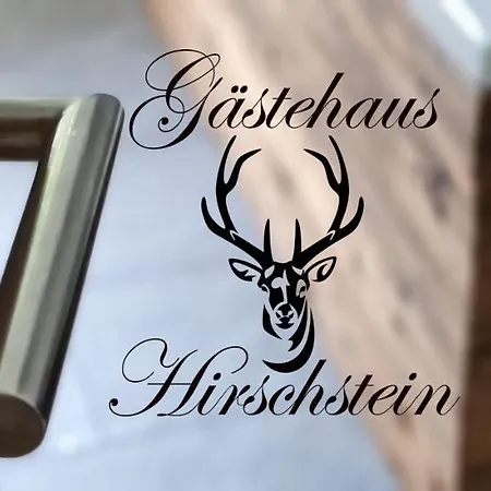 Lejlighed Gaestehaus Hirschstein - Hochwertige In Sehr Ruhiger Lage Direkt Am Fluss Goeltzsch Reichenbach im Vogtland