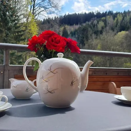 Gaestehaus Hirschstein - Hochwertige In Sehr Ruhiger Lage Direkt Am Fluss Goeltzsch Apartment