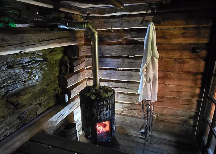 Apartamento Gaestehaus Hirschstein - Hochwertige In Sehr Ruhiger Lage Direkt Am Fluss Goeltzsch Reichenbach im Vogtland