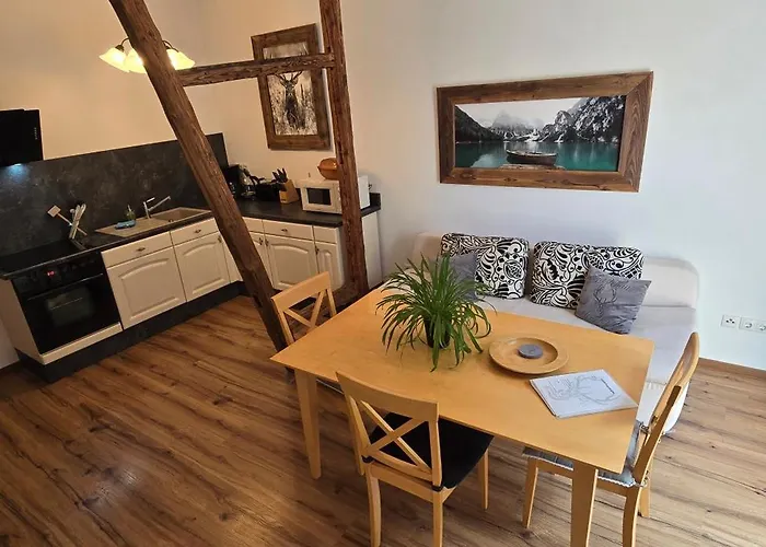 Gaestehaus Hirschstein - Hochwertige In Sehr Ruhiger Lage Direkt Am Fluss Goeltzsch Apartamento